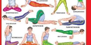 Yogasan 3d Embossed Chart