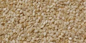 Hulled Sesame Seeds