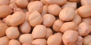 Java Peanuts