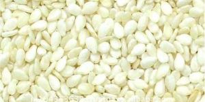 Natural White Sesame Seeds