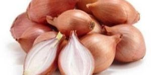 Shallot Onion