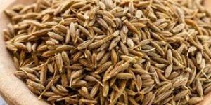 Singapore Quality Cumin Seeds (99%)