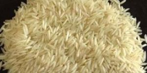 Sugandha Golden Basmati Rice