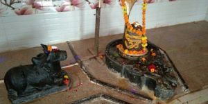 Narmadeshwar Shivling with Nandi Ji