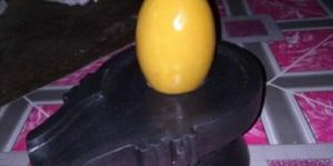 Yellow Antique Shivling with Jaldhari Narmada Stone