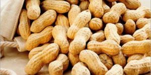 Java Peanuts