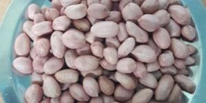 Raw Groundnut