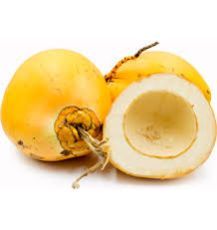 Yellow Tender Coconut