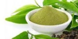 Green Tea Powder