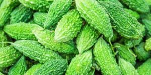 Karela Powder