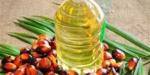 Rbd Palm Oil