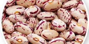 Red Speckled Kidney Beans