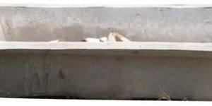 Rectangular Cement Pot