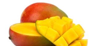 Mango Seed Carrier Oil