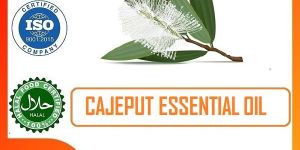 Cajaput Essential Oil