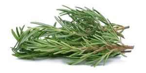 Rosemary Essential Oil