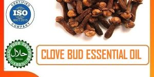 Clove Bud Essential Oil