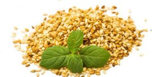 Sesame Seed Carrier Oil