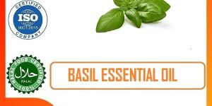 Basil Essential Oil