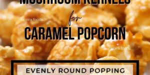 Popcorn Mushroom Kernel
