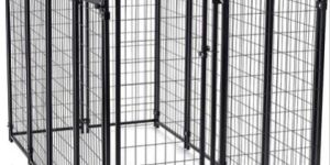 Dog Kennels