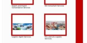 DG Consultant Services