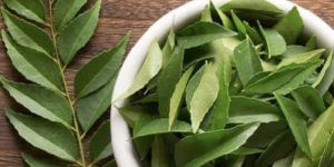 Curry Leaf