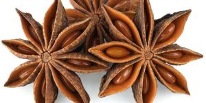 Star Anise