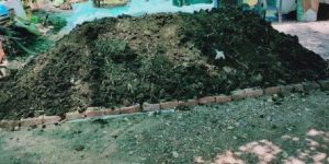 Biotech Grade Organic Fertilizer