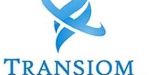 Reverse Transcriptase