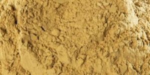 Bentonite Clay