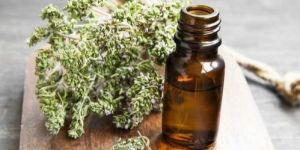 Thyme Oil