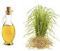 Vetiver Oil