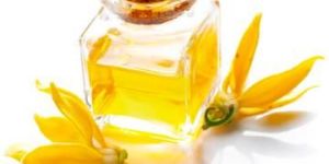 Ylang Ylang Oil