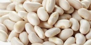 White Kidney Beans