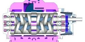 Tushaco Make Two Screw Pumps