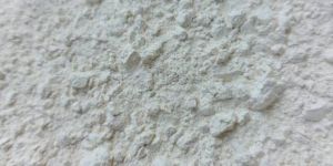 Egg Shell Powder