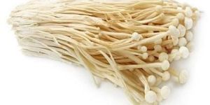 Enoki Mushroom