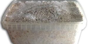 Mycelium Grow Kit