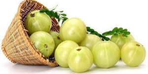 Fresh Amla