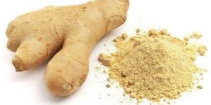 GINGER EXTRACT