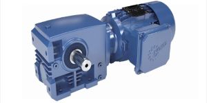 Worm Gear Motors