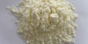 Lactose Powder