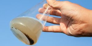 Sampling And Analysis Services