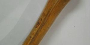 Smoked Knuckle Bone