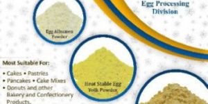 Egg Albumen Powder