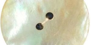 Shirt Button