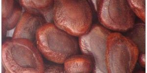 Tamarindus Indica Seeds