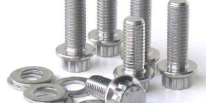 Stainless Steel Fastener
