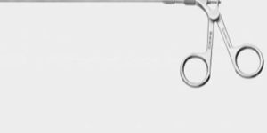 Hysteroscopy Forcep
